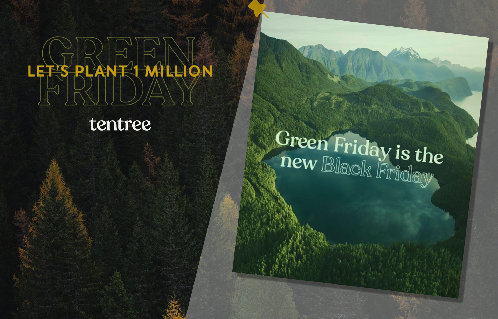 How Tentree Turned Black Friday into Green Friday and Planted 1M Trees image
