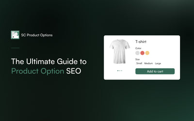 The ultimate guide to product option SEO: Boosting discoverability and sales